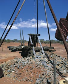 Paynes Find ACT Attractions Brisbane