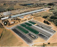 Co-operative Bulk Handling CBH Wheat Storage and Transfer Depot