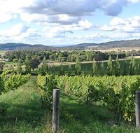 Sassy Wines - Attractions Brisbane