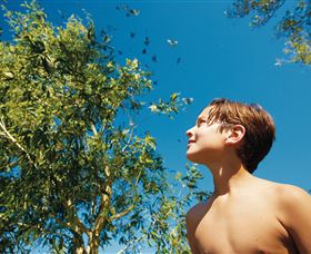 Bushwalking On Keswick Island - Attractions Brisbane 0