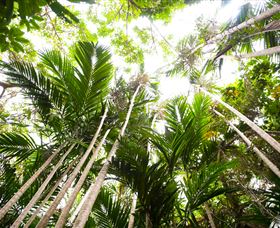 Bushwalking On Keswick Island - Attractions Brisbane 1