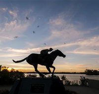Black Caviar Statue - Attractions Brisbane