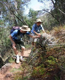 Wellington NSW Attractions Brisbane