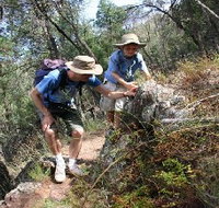 Mount Arthur Reserve - Attractions Brisbane