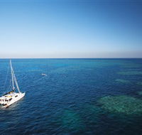 Bait Reef and Garys Lagoon Dive Site - Attractions Brisbane