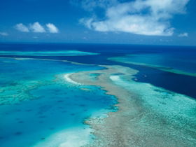 Fairey Reef - Attractions Brisbane 2