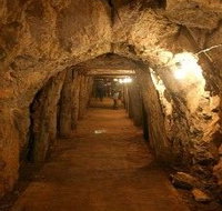 Wellington Caves and Phosphate Mine - Attractions Brisbane