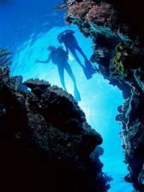 Caves And Canyons Dive Site - Attractions Brisbane 0