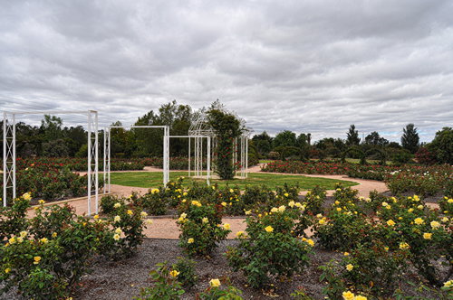 Buronga NSW Attractions Brisbane