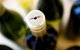 Charles Sturt University Winery Wagga Wagga - thumb 2