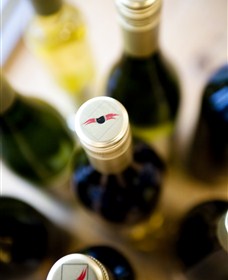 Charles Sturt University Winery Wagga Wagga - Attractions Brisbane 2