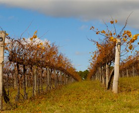 Charles Sturt University Winery Wagga Wagga - Attractions Brisbane 3