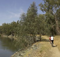 Wiradjuri Walking Track - Attractions Brisbane