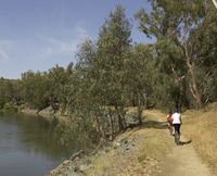 Wiradjuri Walking Track