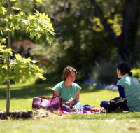 Botanic Gardens Wagga Wagga - Attractions Brisbane