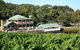 Gisborne Peak Winery - thumb 6