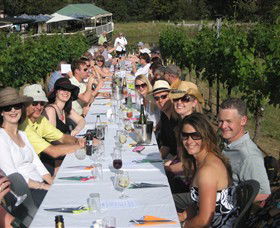 Gisborne Peak Winery - Attractions Brisbane 7