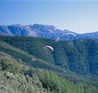 Buffalo Brewery - Attractions Brisbane