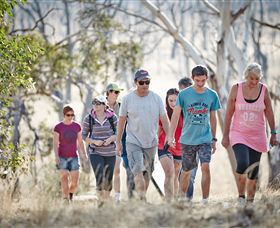 Winton Wetlands Reserve - Attractions Brisbane 0