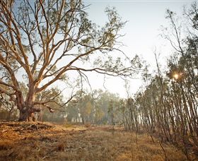Winton Wetlands Reserve - Attractions Brisbane 2
