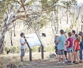 Winton Wetlands Reserve - Attractions Brisbane 5