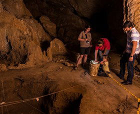 Capricorn Caves - Attractions Brisbane 2