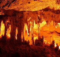 Capricorn Caves - Attractions Brisbane