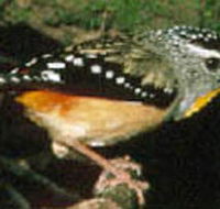 Reef Hills State Park - Attractions Brisbane