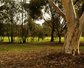 Benalla Golf Club - Attractions Brisbane 2