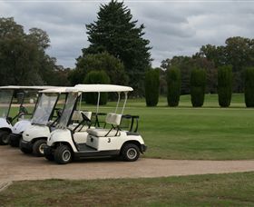 Benalla Golf Club - Attractions Brisbane 3