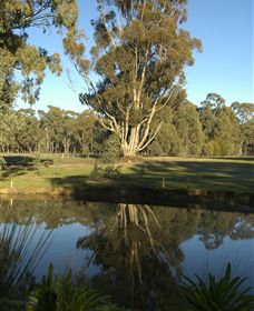 Benalla Golf Club - Attractions Brisbane 5