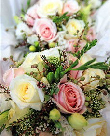 Blooms On Bridge - Attractions Brisbane 7