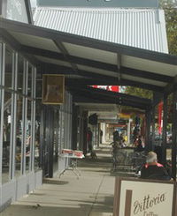 The Coffee Store  Rambling Rose