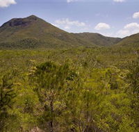 Kutini-Payamu Iron Range National Park CYPAL - Attractions Brisbane