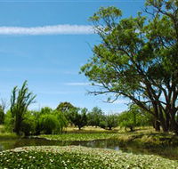 Wirraminna Environmental Education Centre - Attractions Brisbane
