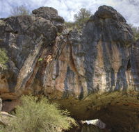 Borenore Karst Conservation Reserve - Attractions Brisbane