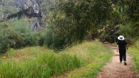 Borenore Karst Conservation Reserve - Attractions Brisbane 3