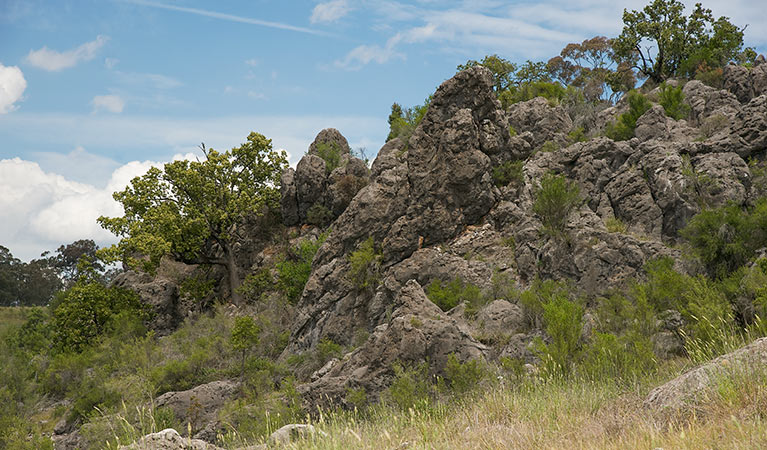 Lidster NSW Attractions Brisbane