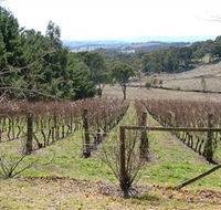 Habitat Vineyard - Attractions Brisbane