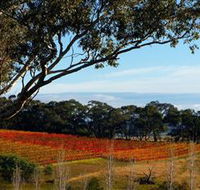 Bloodwood Estate - Attractions Brisbane