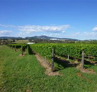 Hedberg Hill Wines - Attractions Brisbane