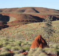 Camel Trail Millstream-Chichester National Park - Attractions Brisbane