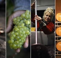 Ross Hill Wines - Attractions Brisbane