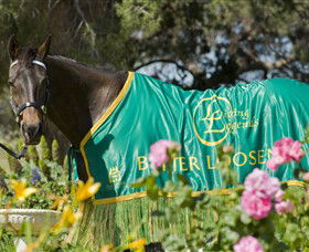 Living Legends: The International Home Of Rest For Champion Horses - Attractions Brisbane 0