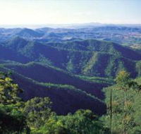 Kroombit Tops National Park - Attractions Brisbane