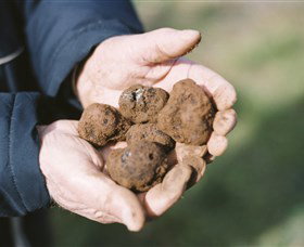 A Slice Of Orange - Attractions Brisbane 0