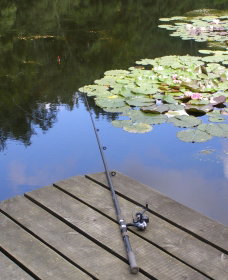 Ophir Reserve - Attractions Brisbane 0