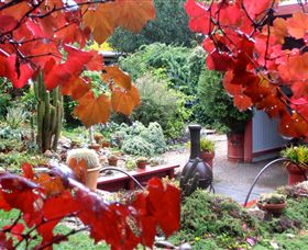 Out Of Town Nursery And Humming Garden - Attractions Brisbane 1