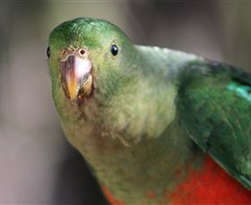 Out Of Town Nursery And Humming Garden - Attractions Brisbane 3