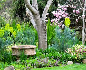 Out Of Town Nursery And Humming Garden - Attractions Brisbane 4